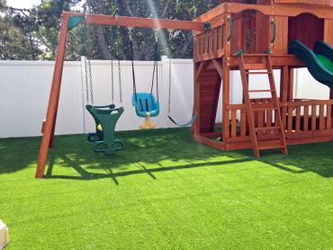 Synthetic Pet Turf Aguanga California Lawns artificial grass